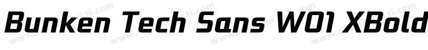 Bunken Tech Sans W01 XBoldIt Regular字体转换